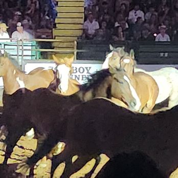 Cowtown Coliseum - Stadiums & Arenas Near Me - Fort Worth, Texas Cowtown Coliseum - Stadiums & Arenas Near Me - Fort Worth, Texas