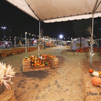 Pumpkin Station - Kids Activities Near Me - National City, California Pumpkin Station - Kids Activities Near Me - National City, California