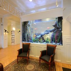 The Fish Gallery
