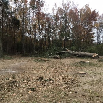 Brians Excavating & Tree Service - a fallen tree - Tree Services Near Me Brians Excavating & Tree Service - a fallen tree - Tree Services Near Me