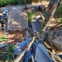 Photo of Tiny Town Timber & Tree Service