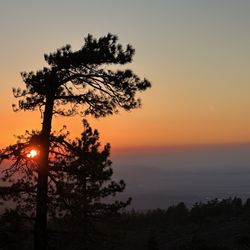 Table Mountain Campground