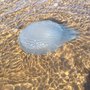 Photo of Nudgee Beach Recreational Reserve