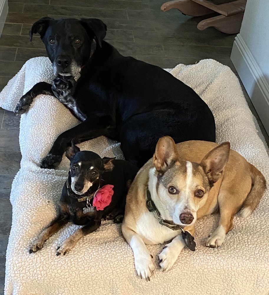 DOUGLAS FEED & PET SUPPLY 26 Photos & 91 Reviews 5460 Douglas Blvd