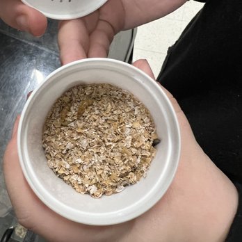 PetSmart - Dead silk worms - Pet Training Near Me - Medford, Oregon