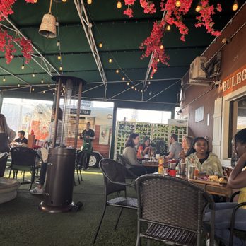 Bulegreen Cafe Yard - Cafes Near Me - Oakland Park, Florida Bulegreen Cafe Yard - Cafes Near Me - Oakland Park, Florida