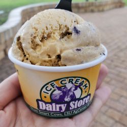 LSU AgCenter Dairy Store - Tiger Bite
