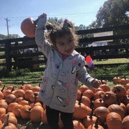 My niece at pumpkin patch