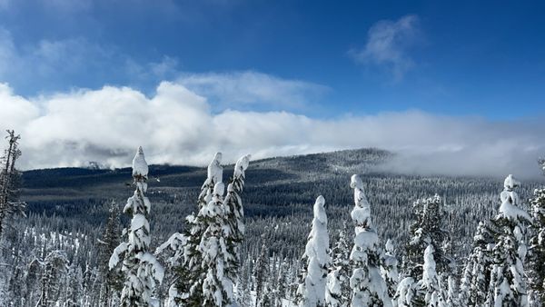 Mt. Shasta Ski Park by null