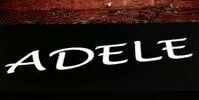 Adele Salon Logo
