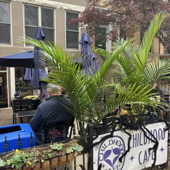 Childhood Cafe - Themed Cafes Near Me - Washington, DC, District of Columbia