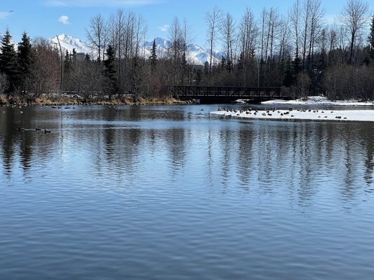 Westchester Lagoon by null