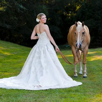 Montross Quarter Horses - We offer wedding photo sessions with the horses. - Horseback Riding Near Me - Chapel Hill, North Carolina Montross Quarter Horses - We offer wedding photo sessions with the horses. - Horseback Riding Near Me - Chapel Hill, North Carolina