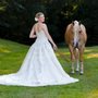 Photo of Montross Quarter Horses