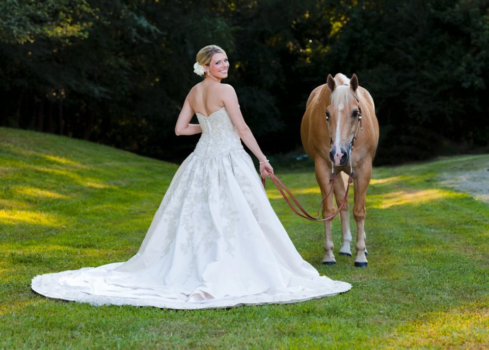 Montross Quarter Horses - equestrian in Chapel Hill, NC