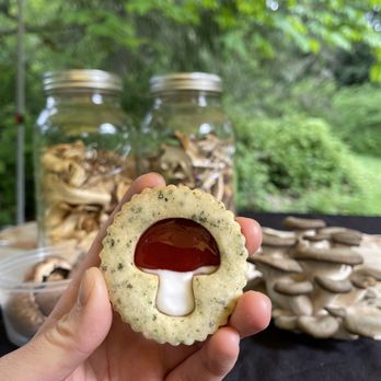 Forage Seattle - Food Tours Near Me Forage Seattle - Food Tours Near Me
