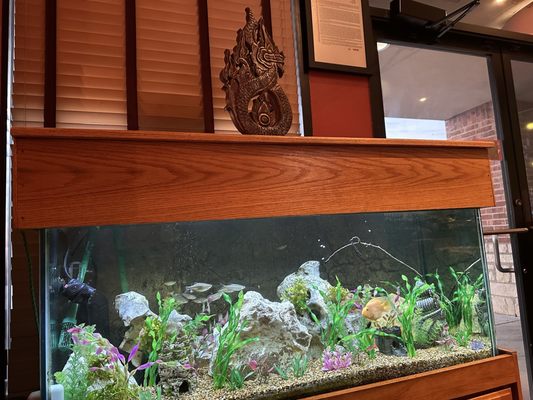 Ka-Prow Thai and Sushi Bistro by null