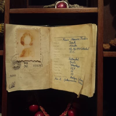 The Museum of Innocence by null