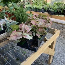 Mill Creek Greenhouses