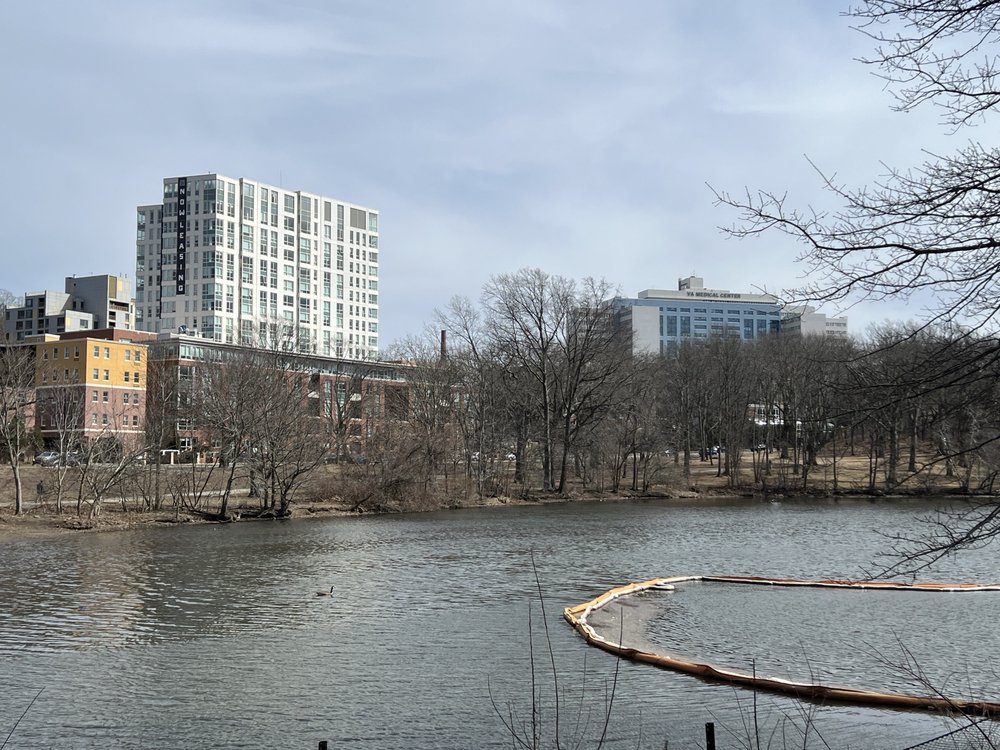Olmsted Park Logo