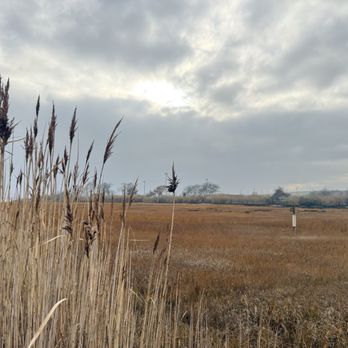 Marine Nature Study Area - Beautiful, peaceful site! - Parks Near Me - Oceanside, New York