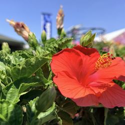Logan's Garden Shop