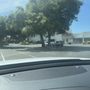 Photo of Pioneer Family Academy