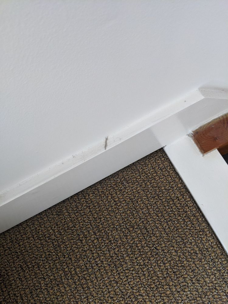 MYTHICAL MAIDS Updated June 2024 36 Photos & 83 Reviews 2024