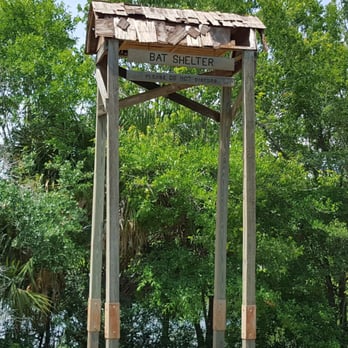 Al Lopez Park - This isn't Gotham City, but Batman shelters here during the summer months - Dog Parks Near Me - Tampa, Florida