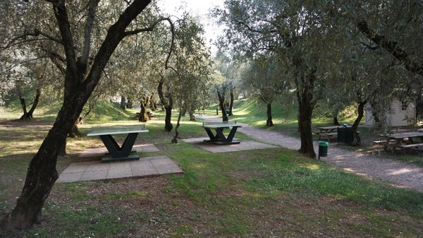 Baia delle Sirene by null