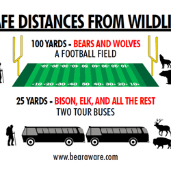 Bear Aware