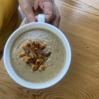 Indigenous Restaurant - Mushroom soup! - New American Near Me - Sarasota, Florida Indigenous Restaurant - Mushroom soup! - New American Near Me - Sarasota, Florida