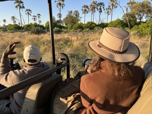 Africa Adventure Consultants by null