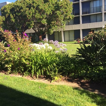 DoubleTree by Hilton - Berkeley - Beautiful courtyard - Hotels Near Me - Berkeley, California DoubleTree by Hilton - Berkeley - Beautiful courtyard - Hotels Near Me - Berkeley, California