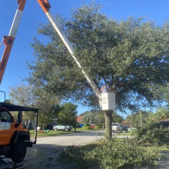 Frank Perkins Tree Experts - Reduction - Tree Services Near Me - Margate, Florida Frank Perkins Tree Experts - Reduction - Tree Services Near Me - Margate, Florida