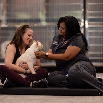 VEG ER for Pets - Emergency Pet Hospital Near Me - Oak Brook, Illinois