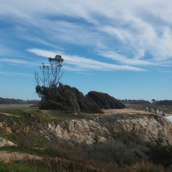 Goleta Butterfly Grove - View from shore - Parks Near Me - Goleta, California Goleta Butterfly Grove - View from shore - Parks Near Me - Goleta, California