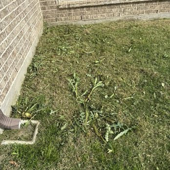 Chorbie - Lawn Services Near Me - Frisco, Texas