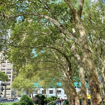 Bryant Park - Parks Near Me - New York, New York Bryant Park - Parks Near Me - New York, New York