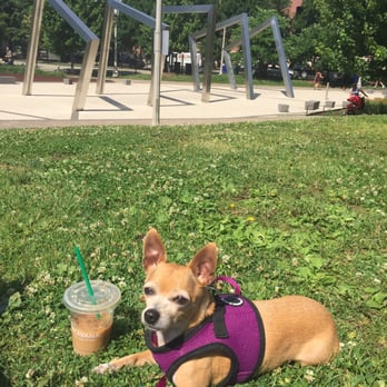 West Loop Dog Park - Happy girl - Dog Parks Near Me - Chicago, Illinois