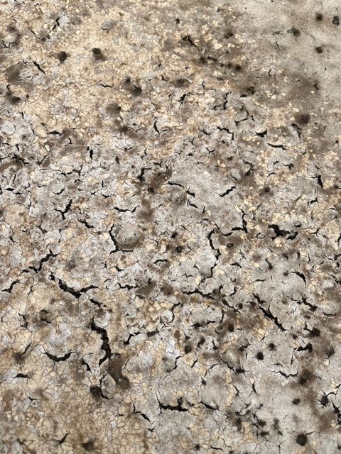 Slide of Flat Roof Pros