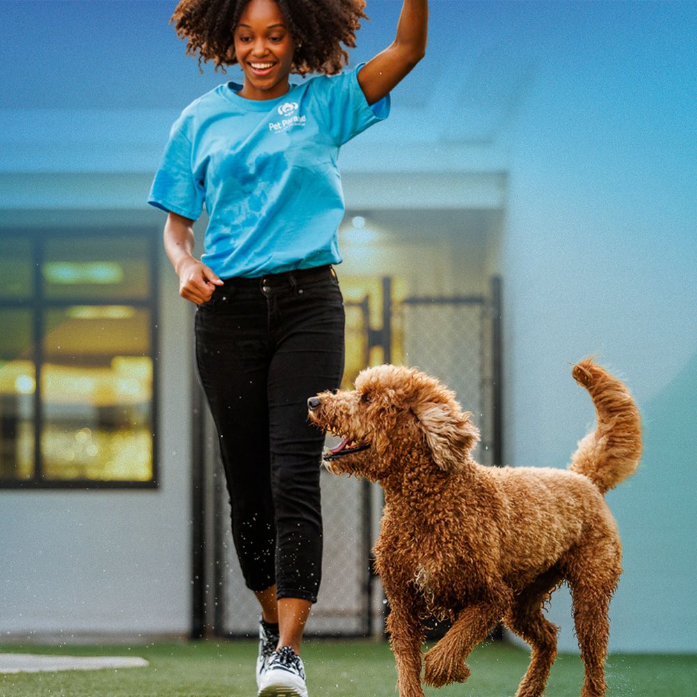 PET PARADISE BIRMINGHAM 6265 Tattersall Blvd, Birmingham, Alabama