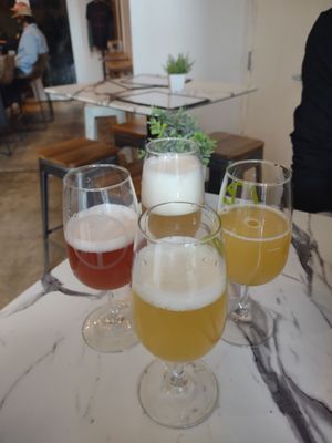 Duneyrr Wine and Beer Company by null