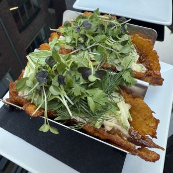Gustazo Cuban Kitchen & Bar - Cambridge - TACOS - Cuban Near Me - Cambridge, Massachusetts