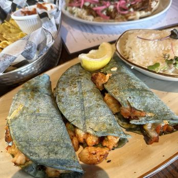 El Santo - Blue corn tortilla shrimp tacos Gobernador Taco - Mexican Near Me - West Hartford, Connecticut El Santo - Blue corn tortilla shrimp tacos Gobernador Taco - Mexican Near Me - West Hartford, Connecticut