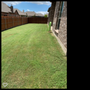 Photo of Tommy LoCastro Landscaping