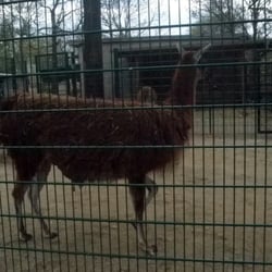 Tierpark Neukölln - Naturhaus in der Hasenheide