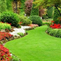 Puregreen Lawn Spraying