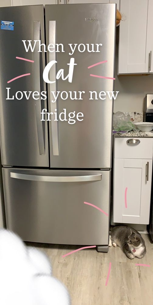 DISCOUNTED APPLIANCE WAREHOUSE Updated July 2024 135 Farrs Bridge