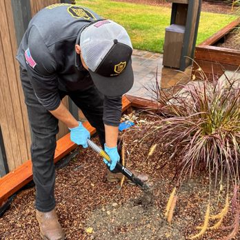 King Pests Control - Gophers eradication - Pest Control Near Me